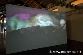 Torna il Premio Nazionale Arti Visive Città di Gallarate. Per la prima volta solo opere video - MALPENSA24 - malpensa24.it