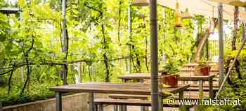 Guide: Die besten Heurigen und Buschenschanken 2022