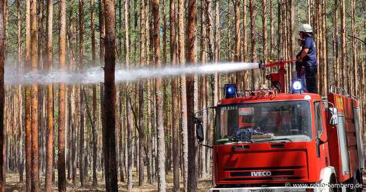 Waldbrand und Glutnester unter Kontrolle