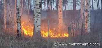 UBC professor analyzes Merritt's wildfire potential - Merritt Herald