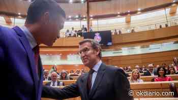 El PP ve desleal que Sánchez no le avisara de su rebaja del IVA de la luz: «No quiere interlocución» - Okdiario