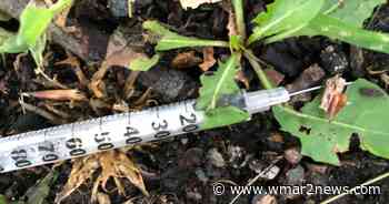 Needle disposal bin program set to launch in Baltimore's Pigtown - wmar2news.com