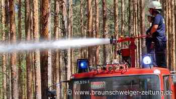 Waldbrand und Glutnester unter Kontrolle