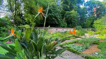 Im Kräutergarten in Augsburg findet man Ruhe und frische Kräuter