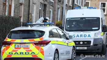 Man pleads guilty to murdering brother in Dublin - RTE.ie