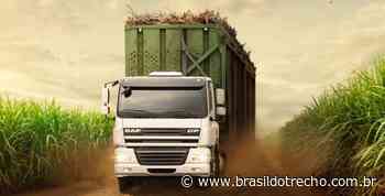 Transportadora Grupo Moreno abre vagas para motorista carreteiro - Brasil do Trecho - Site dos caminhoneiros