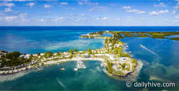 Flights from Calgary to the Cayman Islands are $1,600 cheaper right now | News - Daily Hive