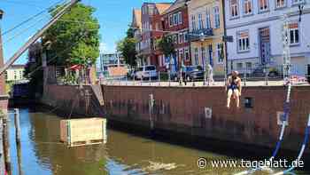 NDR dreht „Games of Norddeutschland – der Länderkampf“ in Stade - Stade - Tageblatt-online