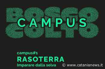 Caltagirone, nasce “Rasoterra, Imparare dalla Selva”: campus territoriale per la creatività trasversale - Catania News