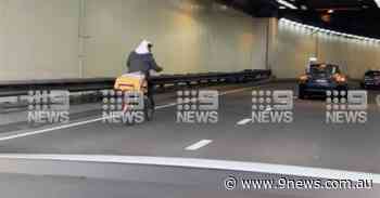 Food delivery cyclist filmed in peak-hour traffic on the Sydney Harbour Bridge - 9News