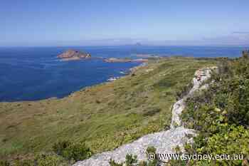 Broughton Island: community-centred cultural heritage research - University of Sydney