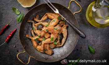 Croaked it! Appetite for frogs' legs in France and Belgium is driving the species to extinction