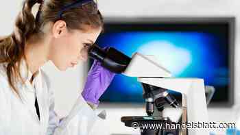 Immobilien: Life-Science-Labore: Die neuen Lieblinge am Gewerbe-Immobilienmarkt?