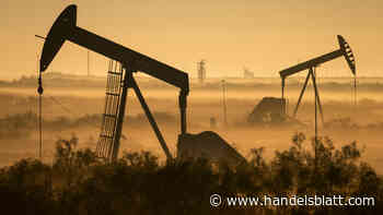 Energiemärkte: „Rohstoff-Superzyklus noch im Anfangsstadium“: Buffett und Co. setzen weiter auf Öl und Gas