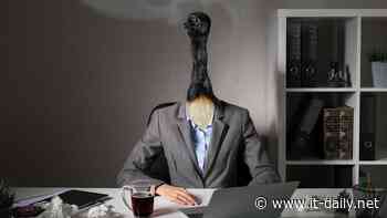 Bereits 78 % der Young Professionals mit Burnout-Erlebnis - Onlineportal von IT Management - it-daily.net