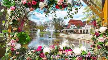 Bade-Floß und Skywalk?: Nagold ist auf Suche nach neuen Impulsen für Innenstadt