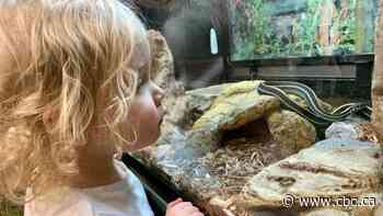 9 nifty ideas for exploring Edmonton this summer