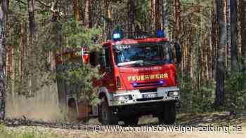 Waldbrand: Munitionsbelastetes Waldstück in Sachsen brennt