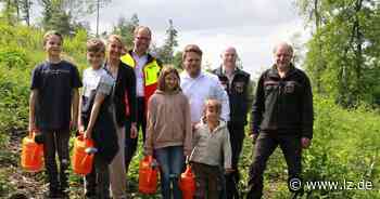 Weidmüller spendet Geld für 4000 Bäume am Hermann | Lokale Nachrichten aus Detmold - Lippische Landes-Zeitung