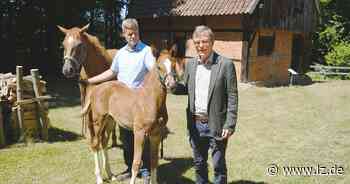 Fohlentaufe im Freilichtmuseum: Es ist ein "Bernhard" | Lokale Nachrichten aus Detmold - Lippische Landes-Zeitung