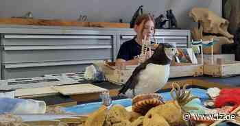 Gratis-Ferienspaß für Kinder in Detmold | Lokale Nachrichten aus Detmold - Lippische Landes-Zeitung