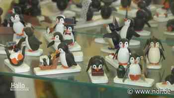 Weltweit einziges Pinguin-Museum in Cuxhaven - NDR.de
