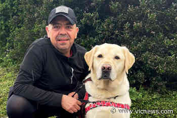 Islanders going the distance to support service dogs – Victoria News - Victoria News