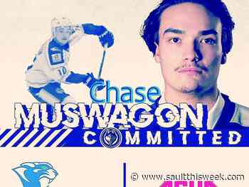 Cougars add another Dryden Ice Dogs grad as defenceman Chase Muswagon commits to the Sault College men - Sault This Week
