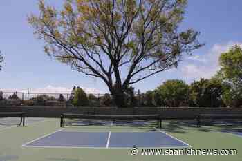Oak Bay battles pickleball noise with rubber fencing - Saanich News