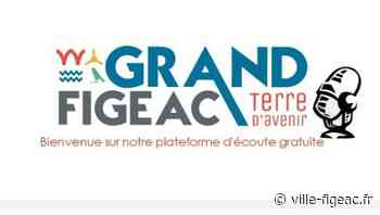 Conseil de Communauté du Grand-Figeac du mardi 28 juin 2022 - Ville de Figeac