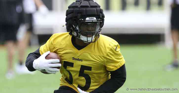 Steelers Post-Draft Roster Review, Part 8: Inside Linebackers