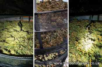 Bolton: Cannabis farm discovered in Egerton - The Bolton News