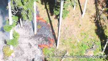 Waldbrand in Bad Teinach: Drohne bringt neue Erkenntnisse – doch keine Baumberührung