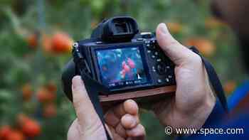 Is a mirrorless camera worth the cost?