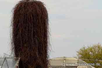 Wo der niedrigste Storchen-Brutplatz in Mittelsachsen liegt - freiepresse.de