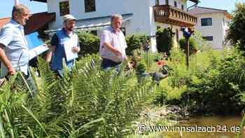 Ein Idyll steht auf dem Prüfstand: Naturgarten in St. Erasmus wird zertifiziert