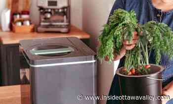 Carleton Place sees big uptake of new pilot program to manage food waste - Ottawa Valley News