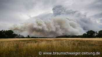 Waldbrand: Evakuierungen nahe Kleinstadt Mühlberg