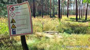 Löschbrunnen und Brandschutzschneisen: Wie feuerfest ist die Lieberoser Heide? - rbb24