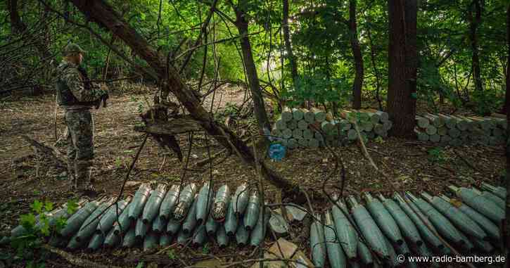 Bundesregierung will Ukraine weitere Haubitzen liefern