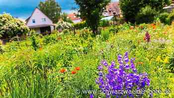 Gärten in Bad Teinach-Zavelstein: Weniger Schotter, mehr Biodiversität