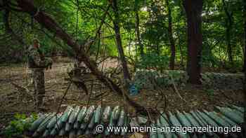 Bundesregierung will Ukraine weitere Haubitzen liefern