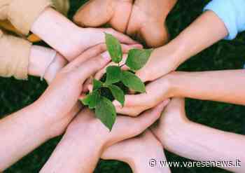 I Comuni di Luino e Induno Olona promuovono "la settimana da volontari" - varesenews.it