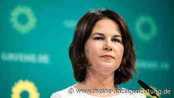 Medwedew kontert Baerbock-Vorwurf mit Nazi-Vergleich – Ukraine bietet Deutschland Atomstrom-Lieferung an