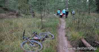 Mountainbiker naar het ziekenhuis na harde val in bos bij Diffelen - De Stentor