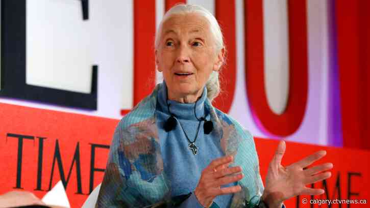 Jane Goodall returns to live events in effort to inspire hope, action on environment
