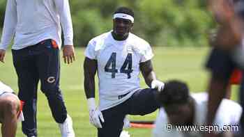 Bears LB Adams arrested on weapons charge