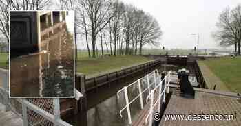 Bever brengt onverwachts bezoekje aan sluis Vilsteren: 'Hij had een collega van ons kunnen zijn' - De Stentor