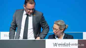 Alice Weidel über AfD-Vorstandskollegen Tino Chrupalla: „Zwischen uns passt kein Blatt Papier“