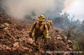 Brauchen Feuerwehren leichtere Einsatzkleidung für zunehmende Waldbrände? - Emmendingen - Badische Zeitung